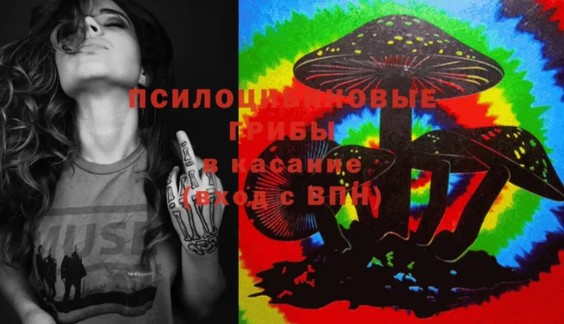 Галлюциногенные грибы MAGIC MUSHROOMS  купить наркоту  Бахчисарай 